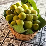 Lauricella B&B 리파리