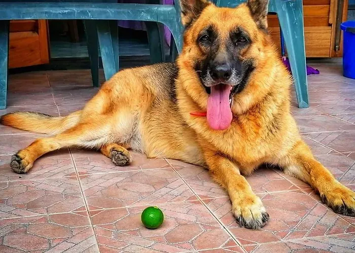 Lauricella Bed and breakfast