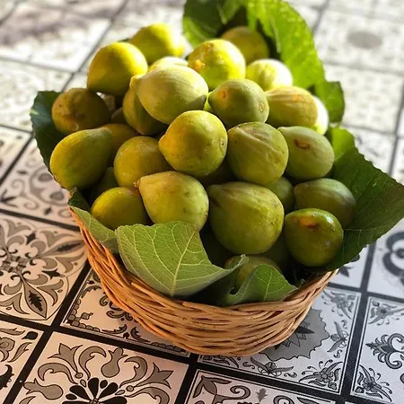 Lauricella B&B 리파리