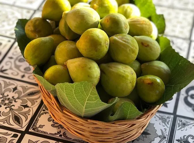 Lauricella Bed & Breakfast Lipari (Isola Lipari)